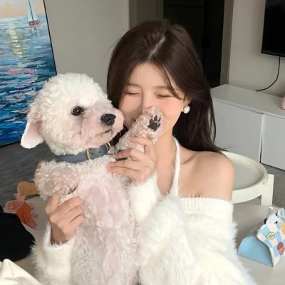 大炮之街